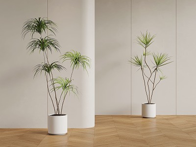 floor-standing potted plant 3d model