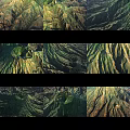 Garden Landscape With Natural Mountain Slopes And Lush Green Vegetation