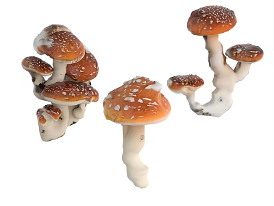 Fresh Vegetables Mushrooms With Orange Red Caps White Spots And White Stems 3d model