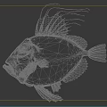 Golden Aquatic Fish With Unique Fins Detailed Texture And Vibrant Color On Dark Background