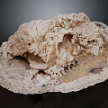 Natural Stone Specimen Featuring Rough Surface Intricate Hole Structure And Textural Details 3d model
