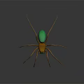 Colorful Spider With Green Body And Orange Legs On Black Background With Reflection
