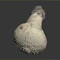 White Mushroom With Bumpy Surface And Gray Stem On Dark Background 3d model