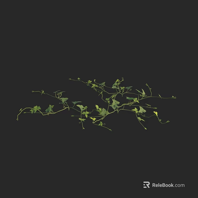 Green Trailing Vines With Lush Leaves Growing On Black Background 3d model