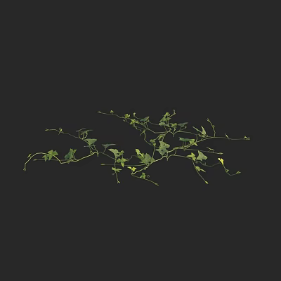 Modern Majiao Er Chinese herbal medicine 3d model Modern Majiao Er Chinese herbal medicine 3d model