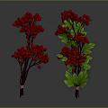 Vibrant Red Berry Plant Branches with Lush Green Leaves Decorative