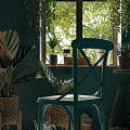 Indoor Potted Plants on Windowsill with Various Flower Pots and Green Wall