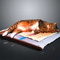 Orange and white cat lying relaxed sleeping comfortably on newspaper sheet 3d model