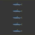 Five Blue Fish in Vertical Arrangement Against Gray Background With Reflection