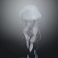Transparent Jellyfish With Elegant Glowing Tentacles And Graceful Form On Dark Background