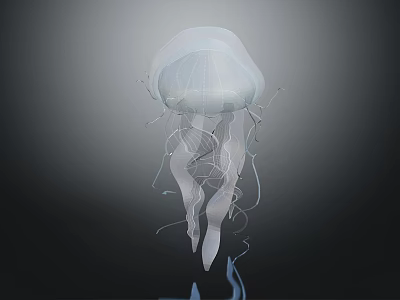 Transparent Jellyfish With Elegant Glowing Tentacles And Graceful Form On Dark Background 3d model