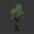 Decorative Garden Tree With Twisted Trunk Green Leaves And Root Base