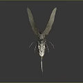 Detailed 3D Rendered Insect Model With Large Wings Slender Body And Antennae