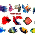 20 Colorful Fish Silhouette Pendants for Home Decorative Hanging Ornaments