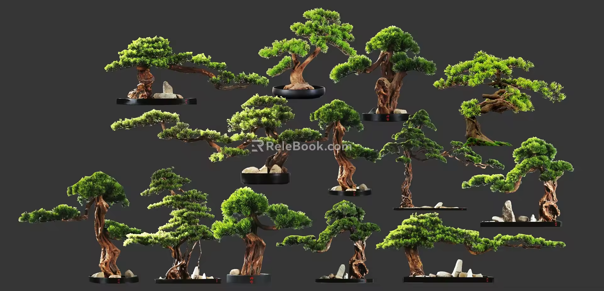 New Chinese Style Pine Tree Shape Pohan Pine Bonsai Dry Landscape Courtyard Welcome Pine 3d model