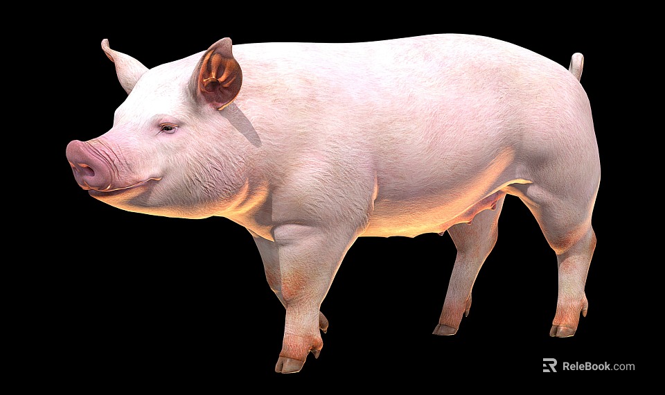 White Reptile Standing On Black Background With Smooth Skin Texture 3d model 