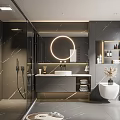 Modern Bathroom Interior With Black Marble Walls Flooring Round Illuminated Mirror Shower Vanity White Toilet