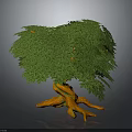 Vibrant Decorative Plant Featuring Lush Green Leaves Unique Twisted Roots And Natural Artistic Design