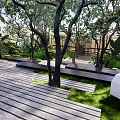 Garden Landscape Design With Lush Trees Green Lawn Wooden Walkway And Circular Stone Features