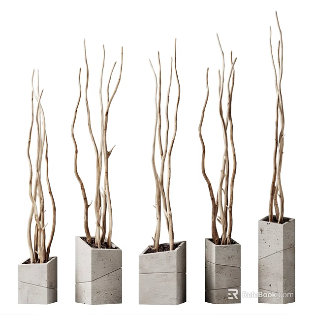 Bonsai Potted Plants With Slender Branches In Square Concrete Pots For Indoor Decor 3d model 