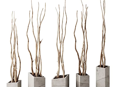 Bonsai Potted Plants With Slender Branches In Square Concrete Pots For Indoor Decor 3d model