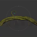 Curved Wood Structure Covered With Green Moss And Small Orange Growths With Hanging Tendrils