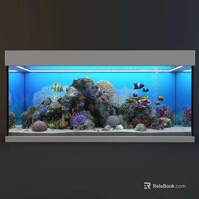 Colorful Aquarium Fish Tank With Tropical Fish Corals Rocks And Blue Water 3d model 