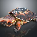 Colorful Turtle With Vibrant Red And Black Shell On Dark Background