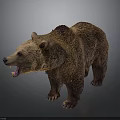 Realistic Brown Bear Model With Open Mouth And Thick Brown Fur Standing
