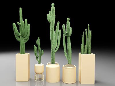 Various Green Cacti in Beige Planters with Metal Stand on Black Background 3d model
