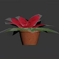 Red Poinsettia Potted Plant With Bright Green Leaves And Orange Decorative Pot