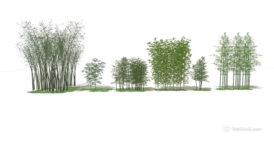 Various Bamboo Species in Natural Arrangement with Different Heights for Landscape 3d model 