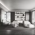 Modern SPA Interior With Massage Beds Bathtub And Storage Shelves