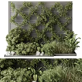 Lush Greenery Covered Feature Wall With Climbing Plants And Stone Accents