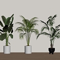 green plant potted floor plant 3d model