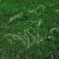 Scenic Garden Landscape With Winding White Paths Through Lush Green Vegetation And White Rocks