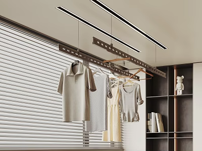 Modern Indoor Space With Hanging Clothes Drying Rack Window Blinds And Bookshelf 3d model