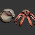 Modern Hermit Crab Cartoon Hermit Crab 3d model