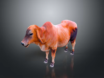 3D Rendered Bull Model With Orange And Black Fur Standing On Gray Background 3d model