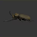 Realistic Horned Beetle With Brown Exoskeleton And Long Antennae On Dark Background