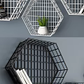 White And Black Hexagonal Grid Design Wall Cabinets With Plants And Books 3d model