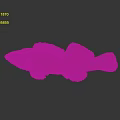 Realistic Brown Fish With Detailed Fins Displayed On Gray Background