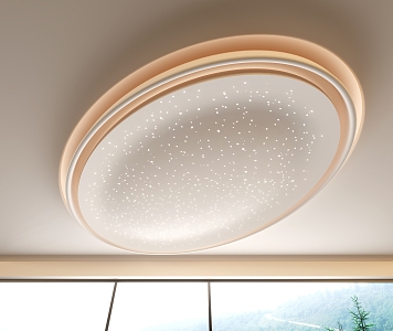 Elliptical Star Ceiling 3d model