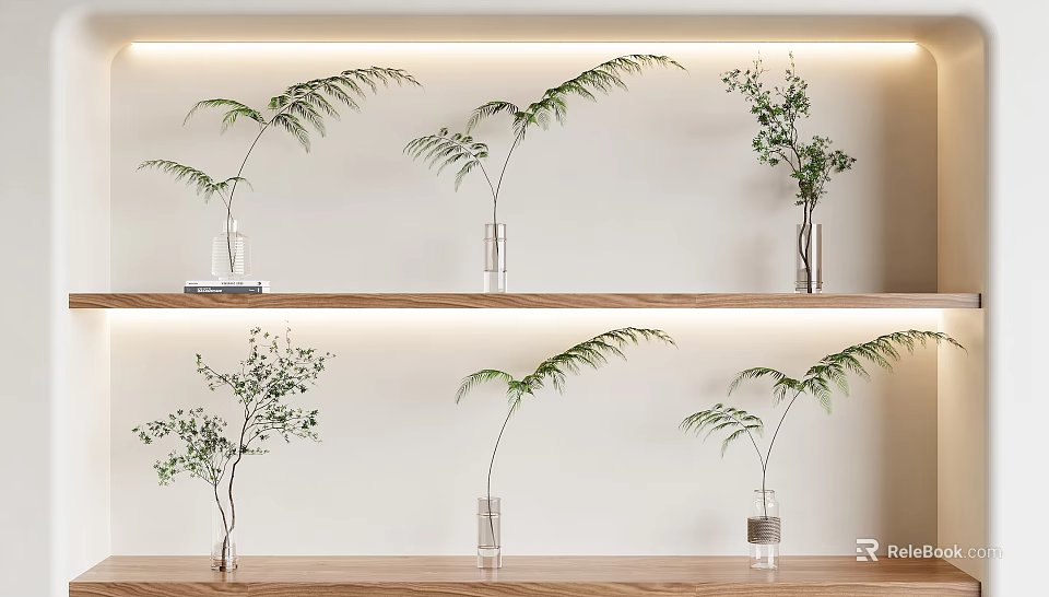 Multiple Glass Vases With Green Plants Arranged On Wooden Shelves With Warm Lighting Minimalist Decor 3d model 