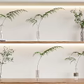 Multiple Glass Vases With Green Plants Arranged On Wooden Shelves With Warm Lighting Minimalist Decor