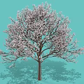 Vibrant Shrub With Pink Blossoms Against Light Blue Background And Shadow
