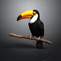 Toucan With Large Colorful Beak Perched On Branch Black White Plumage Vibrant Eye Area
