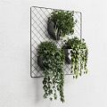 Modern hanging basket potted hanging basket 3d model