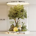 Elegant Indoor Landscape In Transparent Cylindrical Glass Container With Green Tree Ferns Rocks And Lighting