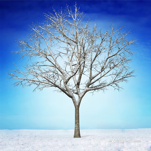 Tall Bare Tree With Snow Covered Branches Under Blue Sky On Snowy Ground 3d model 